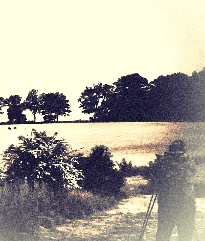 Forêt matin chasse