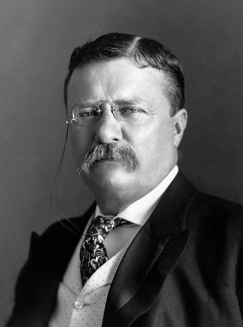 Photographie Théodore Roosevelt