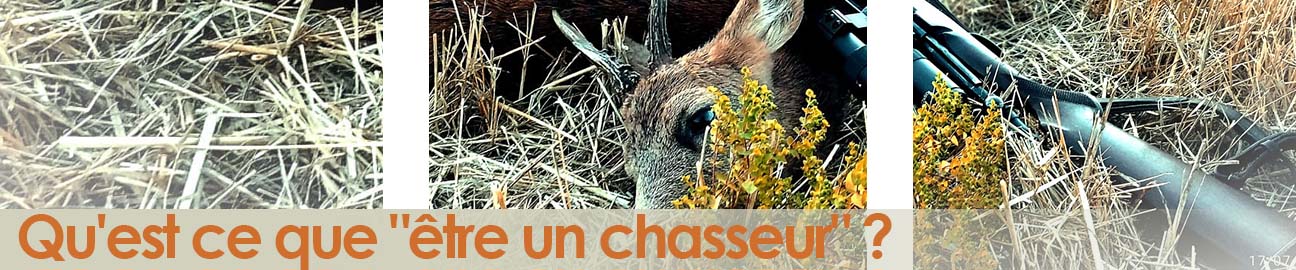 Bannière article "être chasseur"