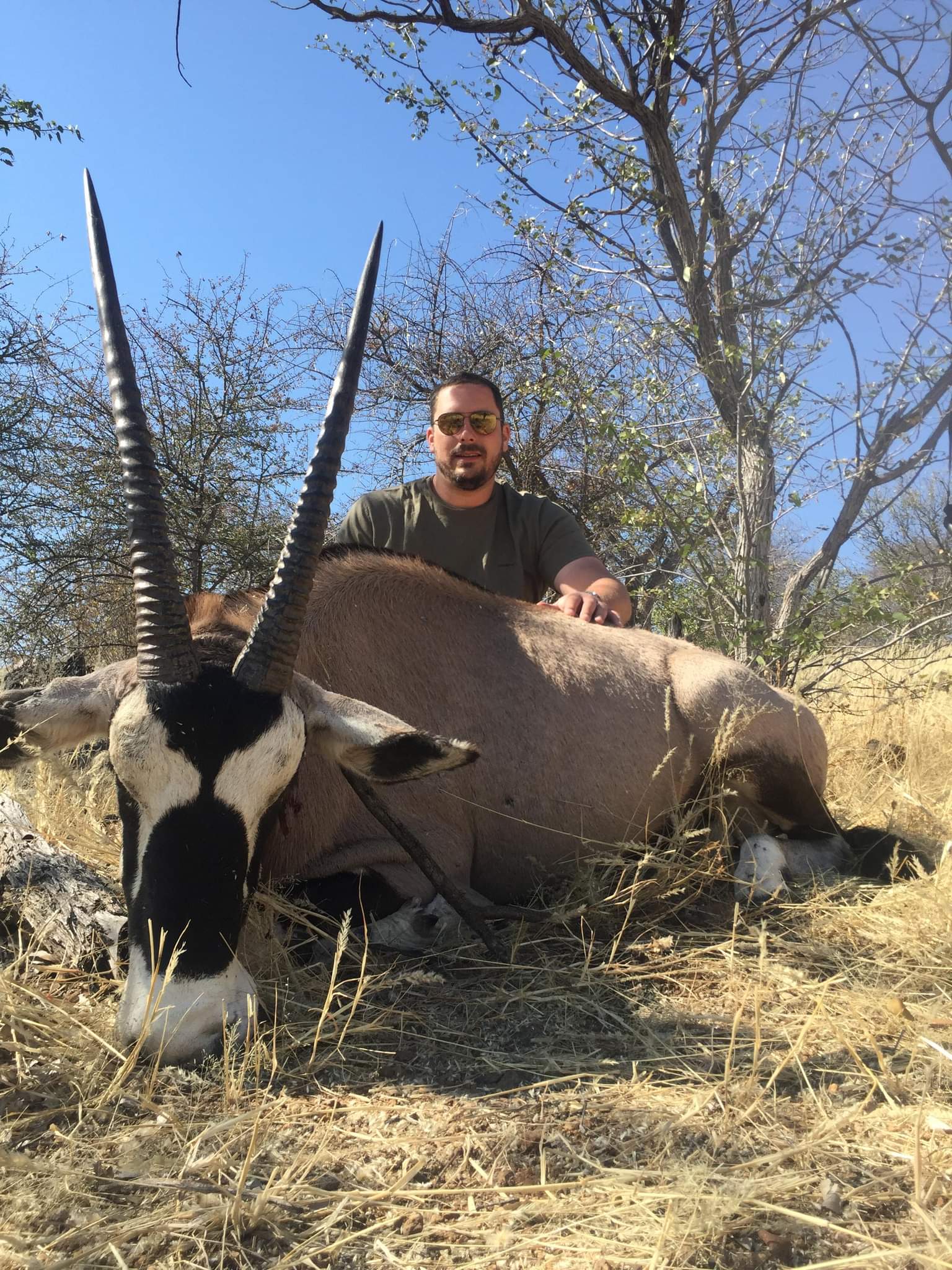 Oryx mâle