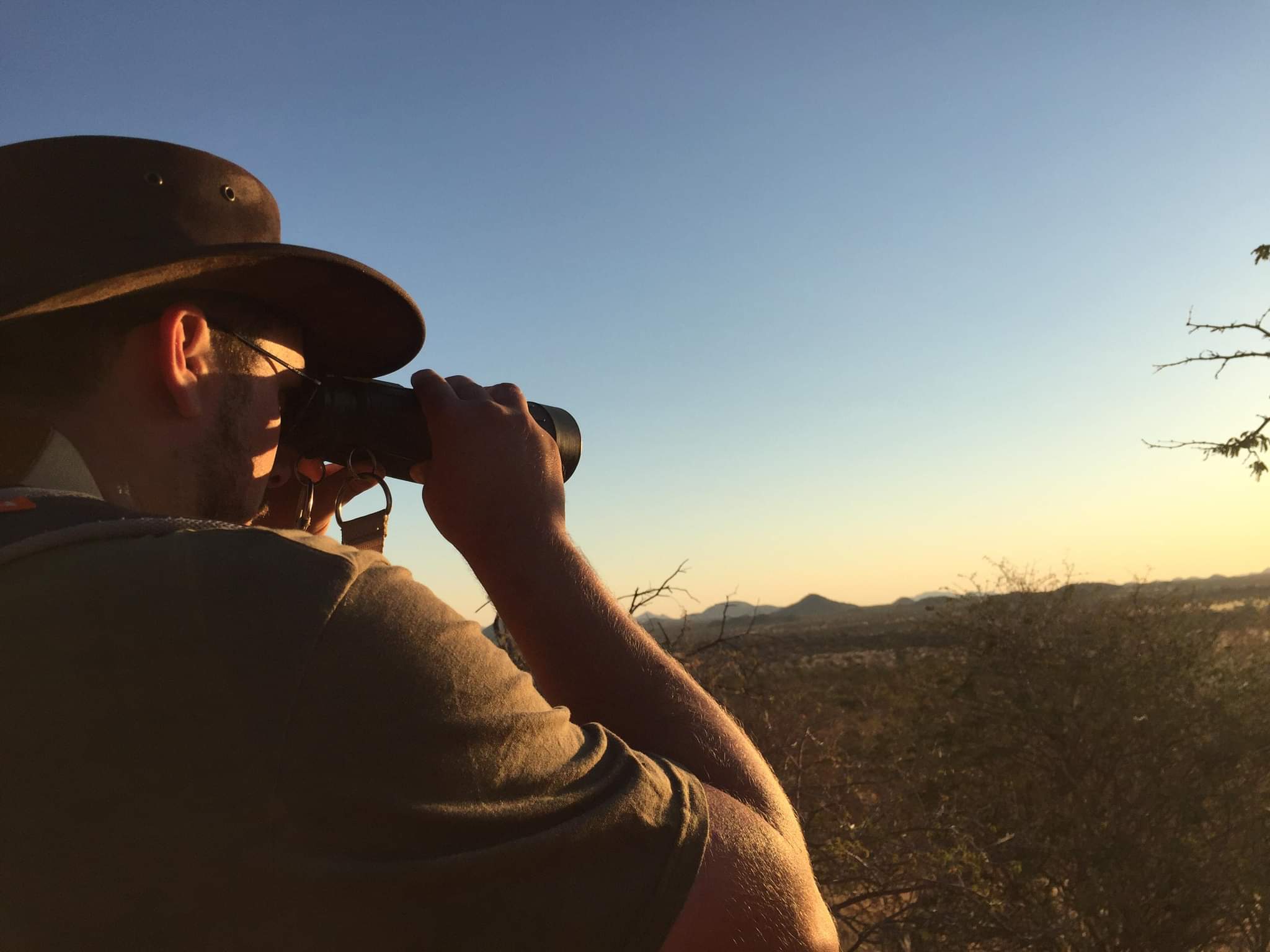 Observation pendant la randonnée