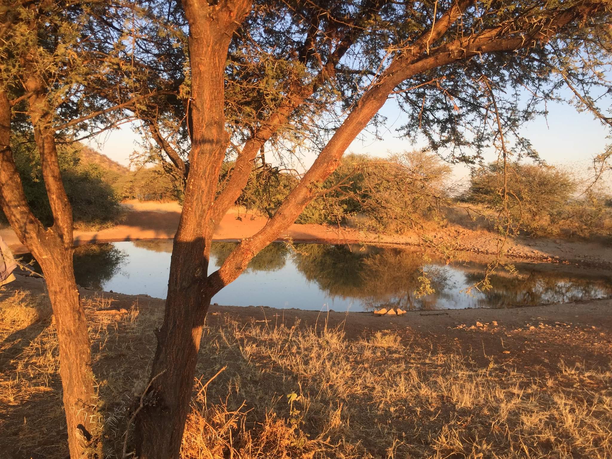 Waterhole Namibie