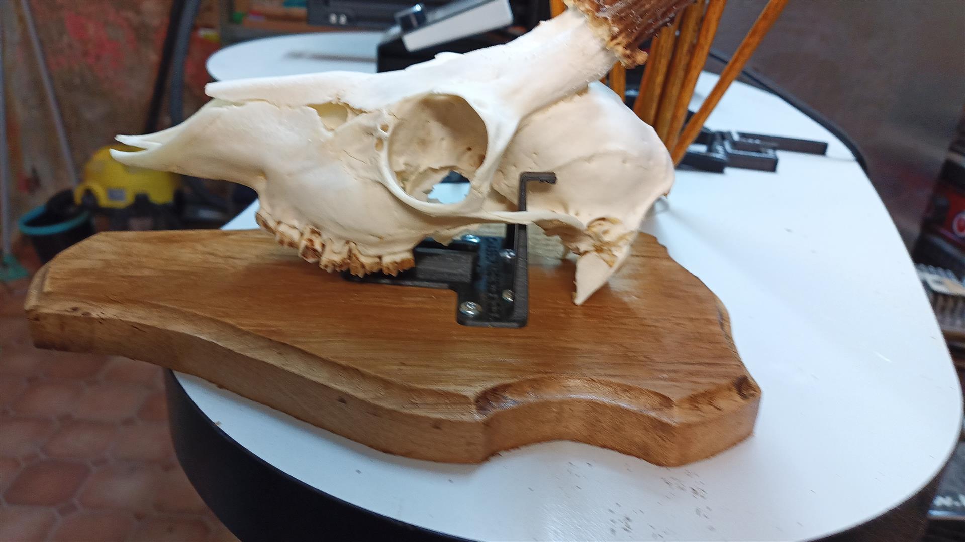 Fixation du trophé sur l'attache